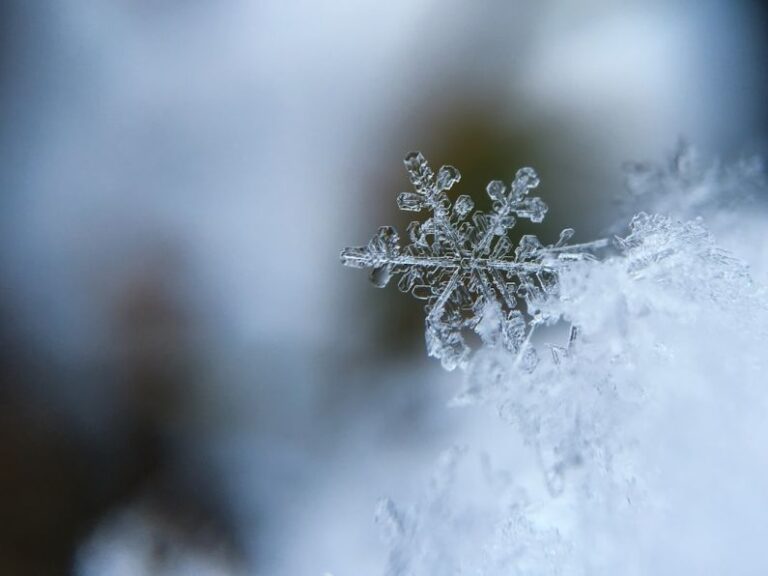Winter - focused photo of a snow flake