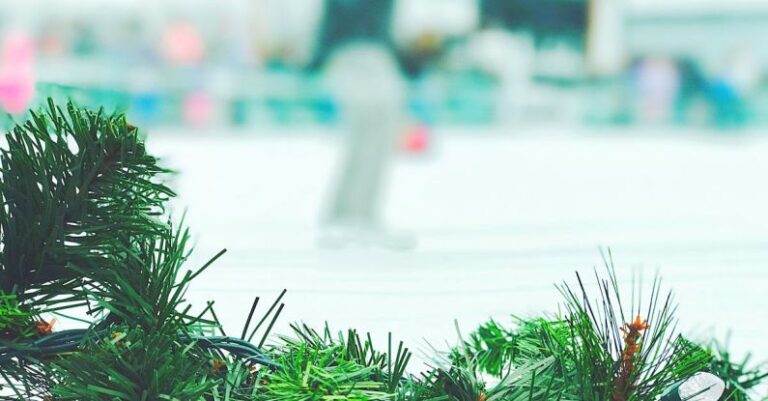 Ice Skating - Selective Focus Photography of Christmas Tree