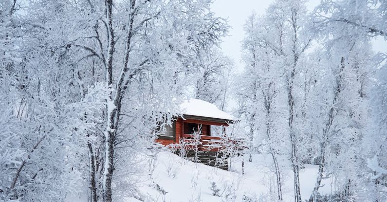Snow Resort - Red Wooden House Surrounded With Trees Covered With Snow