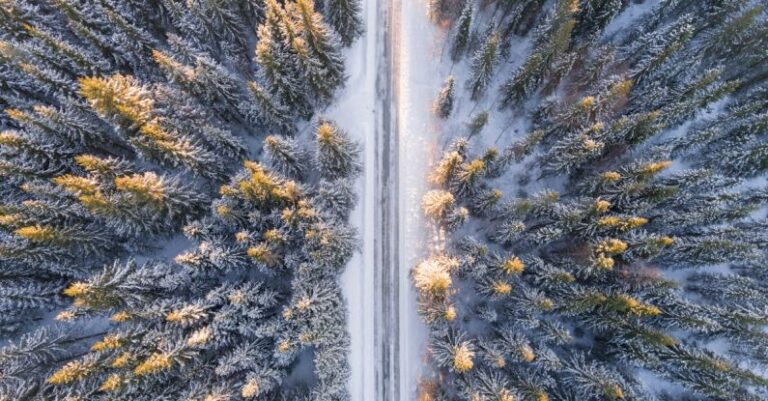 Winter Forest - Aerial Photography of Road in Forest